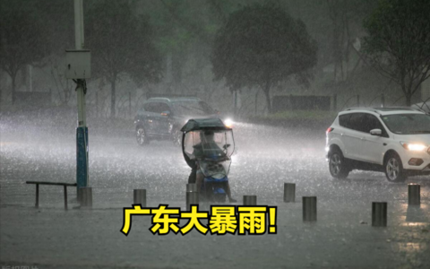 广东多地遭遇暴雨！大暴雨！清远阿姨上演水上漂，网友：太震撼！