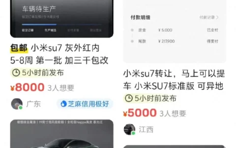 闲鱼现大量转卖SU7创始车型订单 闲鱼客服回应了！