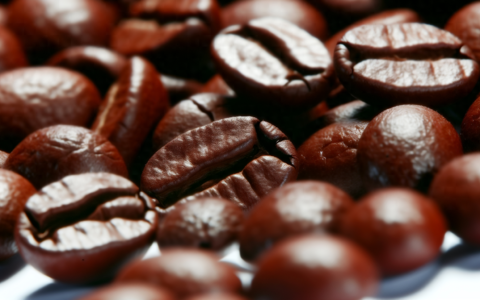 佳禾食品艰难转型咖啡业务刚现成果，一季报业绩就变脸 | 看财报