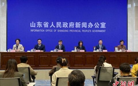 山东借“海洽会”引育青年人才 打造人才集聚“强磁场”