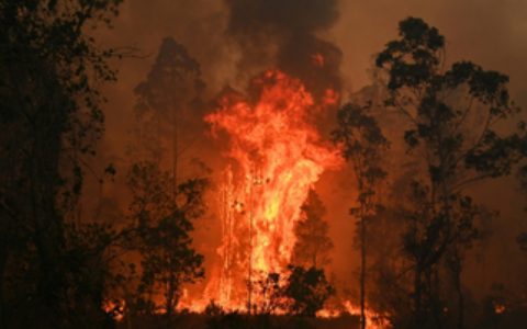 “史无前例”林火肆虐已致3死，澳大利亚总理：会考虑动用军队助灭大火