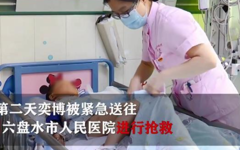 4岁男孩上山采蘑菇 把一条毒蛇当成了野生菌，伸手去摘被咬