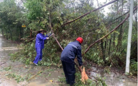 惠州12个乡镇6276人受灾，紧急转移安置83人