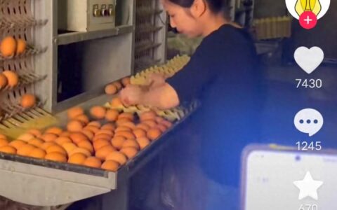 90后夫妻养2.8万只鸡每天只捡2.5万个蛋，网友：剩下3000只在干嘛