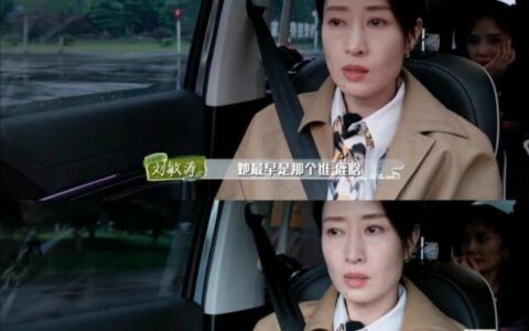 刘敏涛女儿追星王一博，粉丝：四舍五入就是《我的哥哥是大明星》