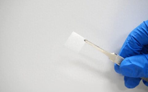 世界上已知的最薄光学晶体来了！