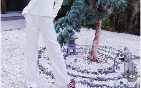 央视李思思官宣离职！曾9次主持春晚，离开时却只留下了32个字