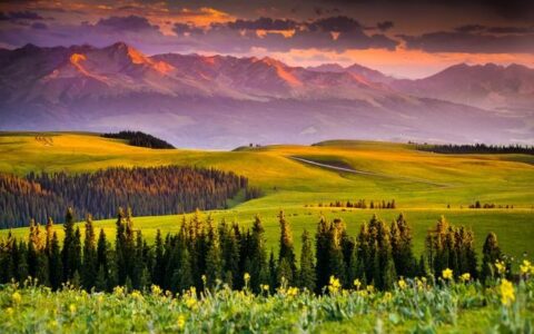 体制内形式主义：无形枷锁束缚生活，工作效能难提升