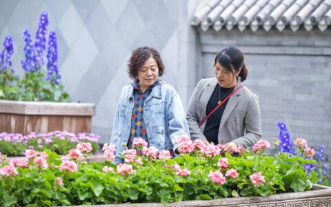 北京国际花园节开幕，23万株鲜花世园争艳