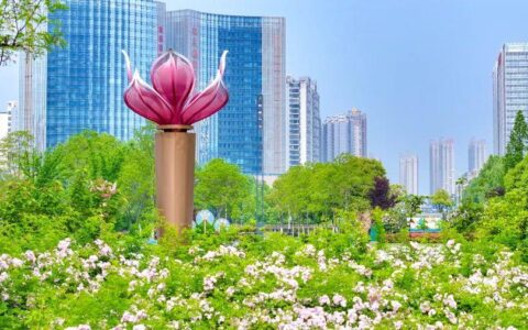 早安安徽｜刷新纪录！“骁鸿”成功交付