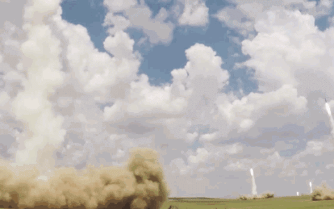 放了莫迪的鸽子，马斯克突然飞到北京，拿到中方特殊礼物