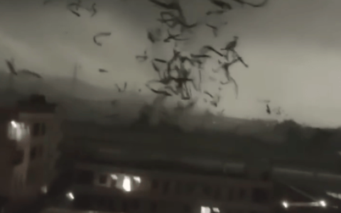 强龙卷、大冰雹突袭广州！最新分析