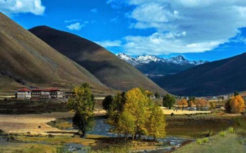 你这身板啊，就是道家说的“身弱”