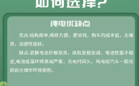 买燃油车的人正式成了少数派—上海程斯