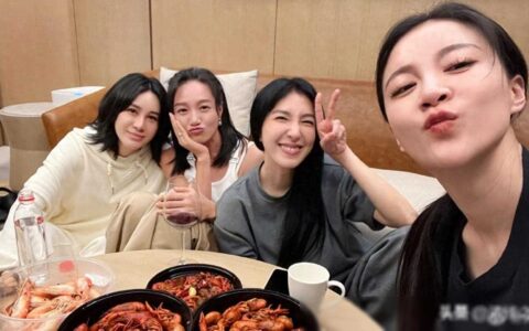 乘风2024即将播出，朱丹、杨谨华、尚雯婕等晒训练照。