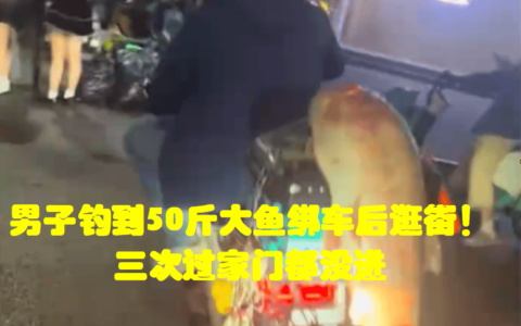 原创
            男子钓到50斤大鱼绑车后逛街！三次过家门都没进