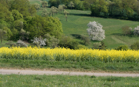 春回大地，万物复苏——全景展现春日大地景观之美