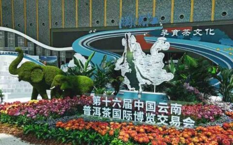 第十六届普洱茶博览会首日，看他们花式玩转茶产业