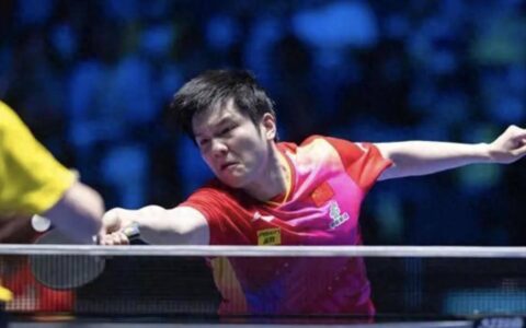 原创
            打进世界杯16强！樊振东丢分，孙颖莎两战8-0，国乒12人仅1人出局