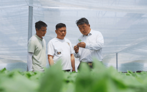 “千万工程”在俺村①丨中牟孙庄村“乡谣农场”里长出大梦想