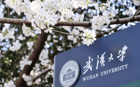 刚刚，武大宣布新设雷军班！