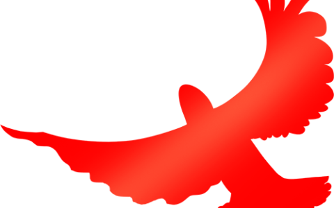 灵台大队重拳整治“拆窗破网”工作提质增效