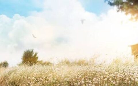 对于女人来说，有四种“存钱”的方式，很高级