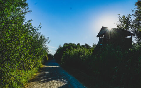 路边野餐，细品天下风味