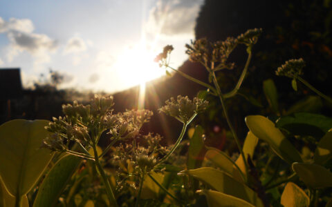 假日的宁静与自由