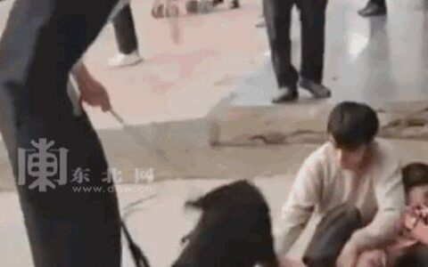 又一起！湖南恶犬疯狂撕咬小女孩致重伤，狗主人慌忙跪地道歉！