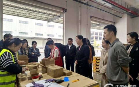 第二届长台青年文化节“青商季”活动成功举办