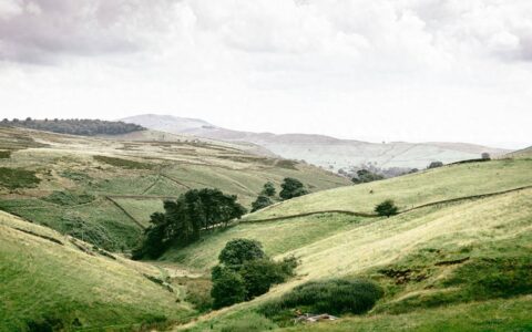 3月中国神华商品煤产量同比增长3.3% 煤炭销量增长2%