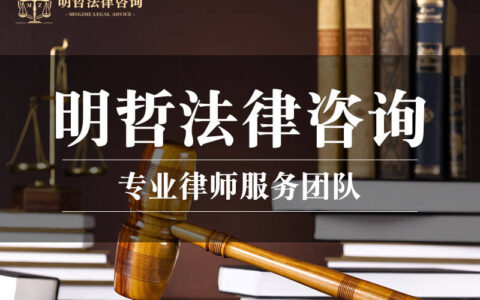 武汉明哲法律咨询：我国法治建设再创新高，法律服务水平快速提升