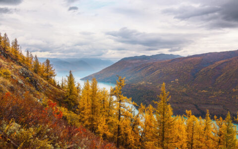 稻城亚丁最佳旅行时间，错过等一年！