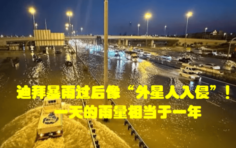 原创
            迪拜暴雨过后像“外星人入侵”！一天的雨量相当于一年