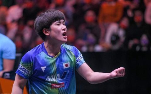 势不可挡！张本两兄妹双双打进四强战国乒！15岁小将冲三冠王