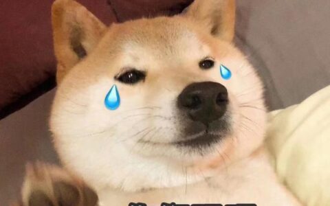 这届年轻人为何变得抠门了