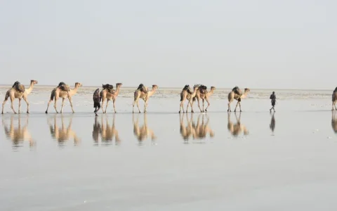 埃塞俄比亚是一个怎样的国家？