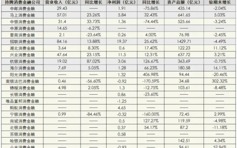 消金公司2022年中期业绩对比：2家营收超50亿元，9家总资产缩水