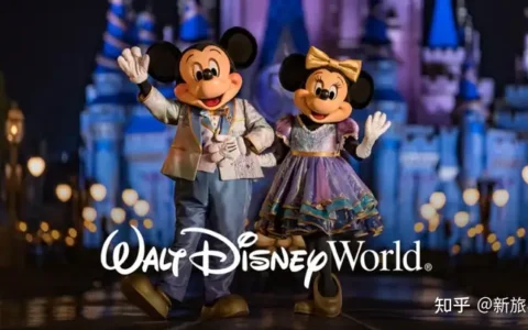 馋哭了！海外上市旅企Q1强势反弹：乐园收入翻倍、OTA订单量创新高