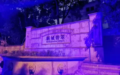 新城碧翠业主多次反映未果，深夜豪宅电梯起火，殃及3户