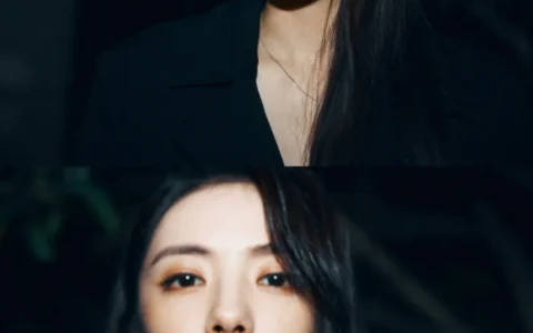 如何评价蔡文静的长相？