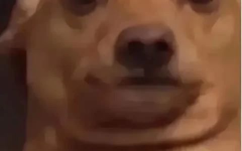 晶体管发明往事：误打误撞，反目成仇，共享诺贝尔奖