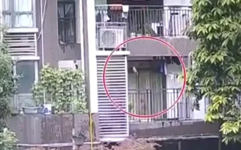 重庆一小区天降菜刀险伤人，当事人：走出楼栋不到5秒，就砸在了后脚跟附近