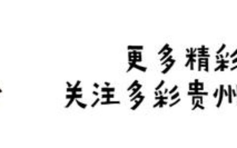 涉及多条线路！贵阳公交优化调整部分线路及站点