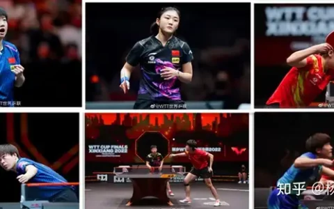 2022WTT新乡世界杯倒数第二日，孙颖莎王艺迪、张本智和奥恰洛夫、陈梦曼昱、马龙王楚钦，你如何评价？
