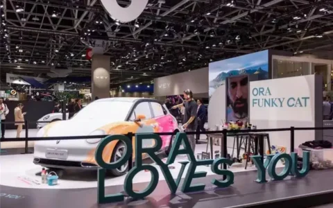 着眼全球和未来，欧拉不只有“她”