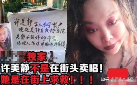 昔日天后许美静，被陈佳明迫害到疯？