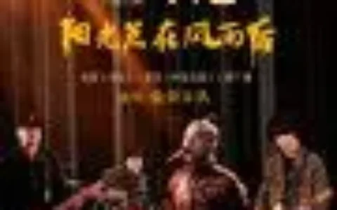 如何评价许美静？