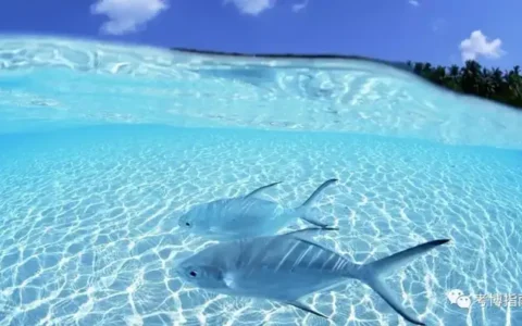 95年中专毕业，15年复旦考博，她用10年逆转人生！